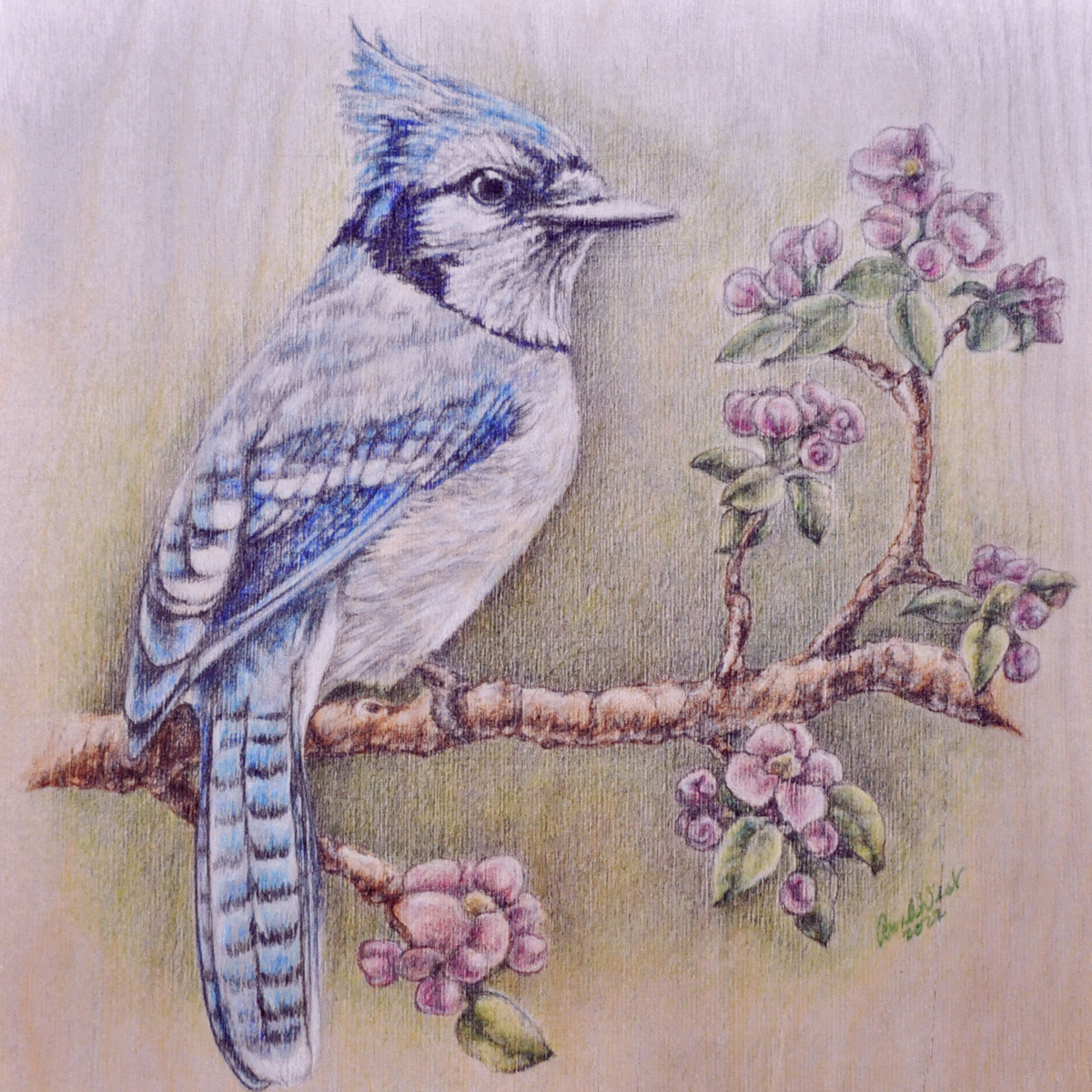 Bluebird - Mixed Media on Wood