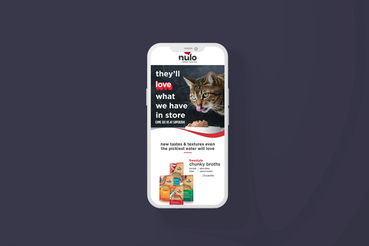 Email Teaser for SuperZoo 2021
