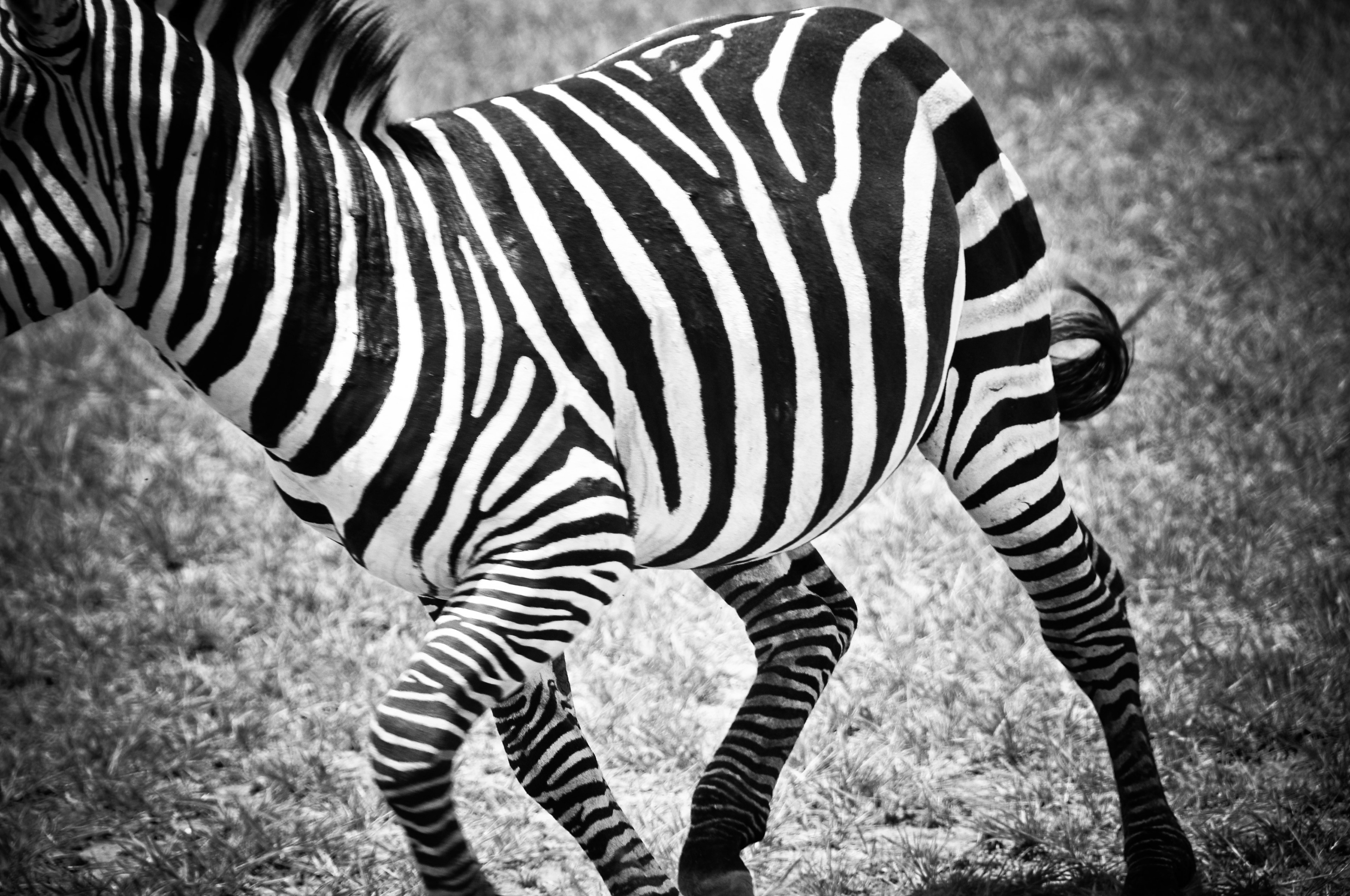 Tanzania