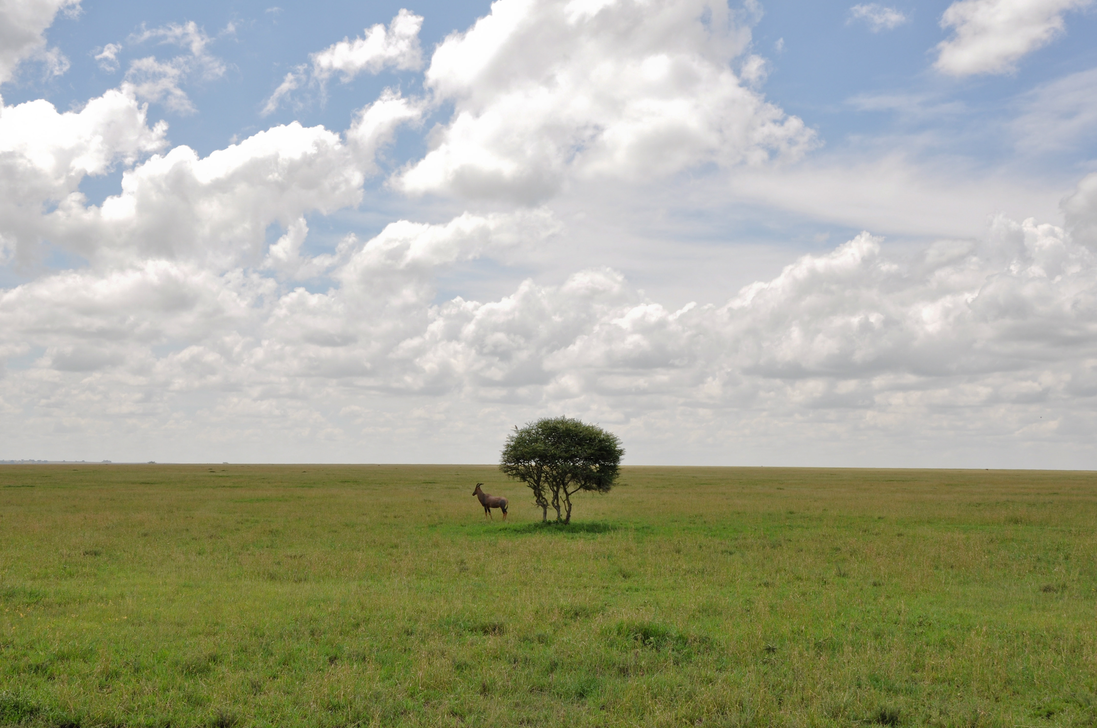Tanzania