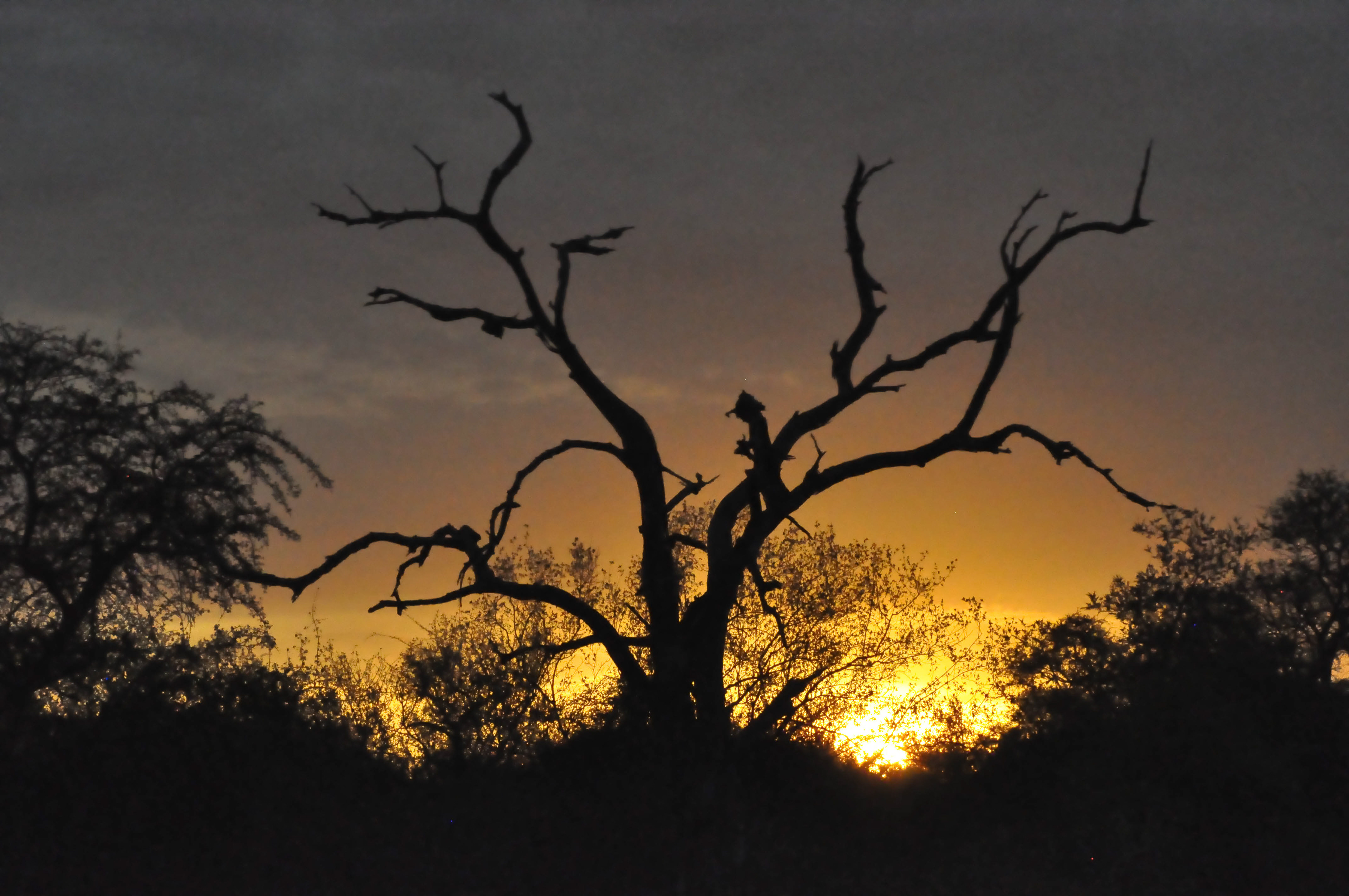 South Africa