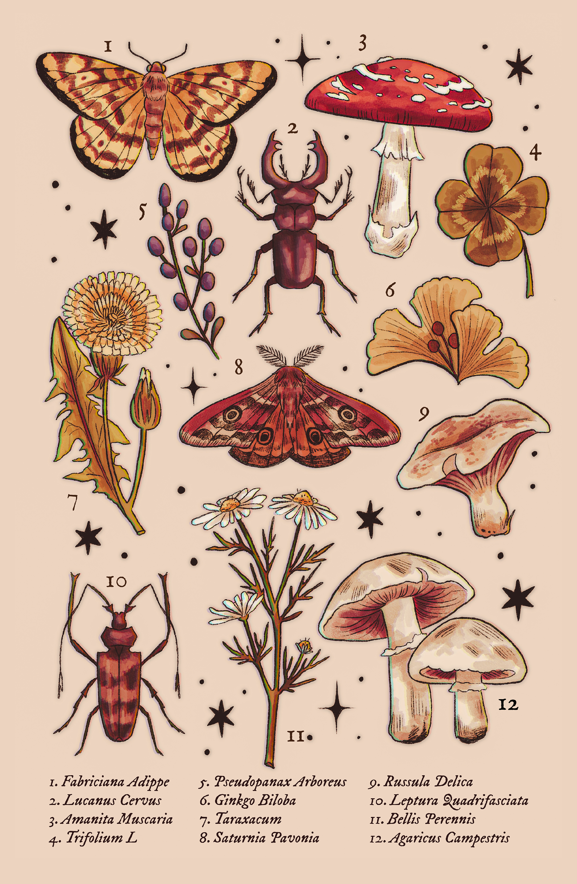Botanical Poster