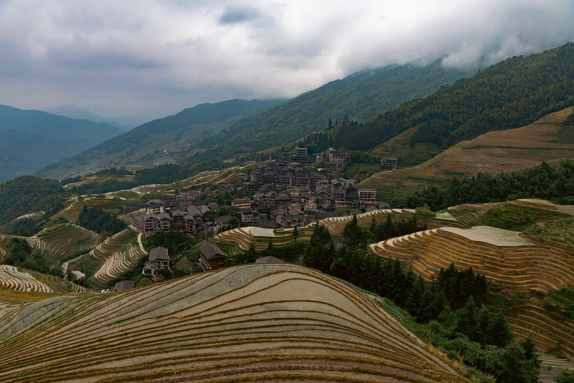 Longji Rice Terraces