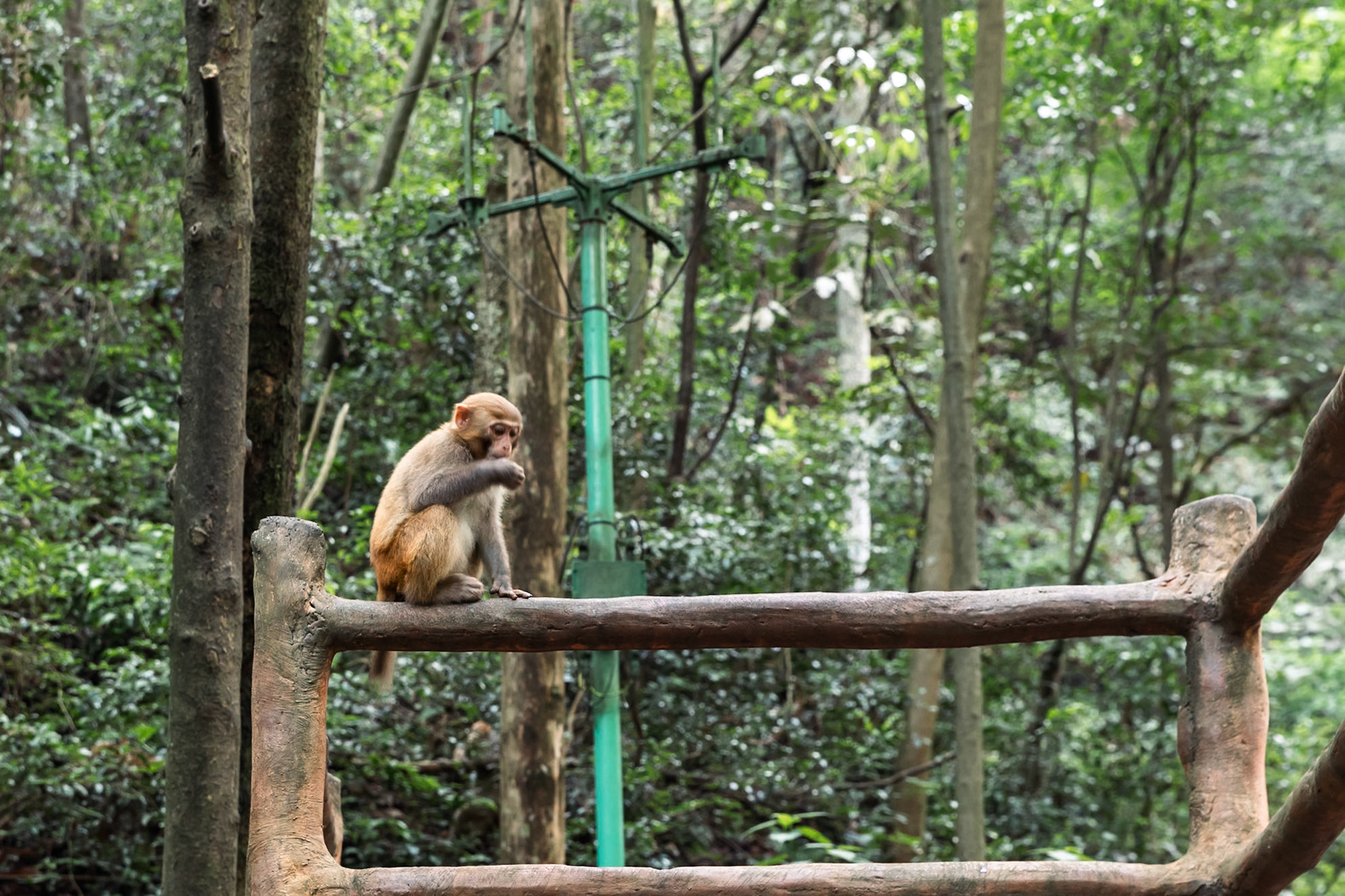 Zhangjiajie National Forest Park