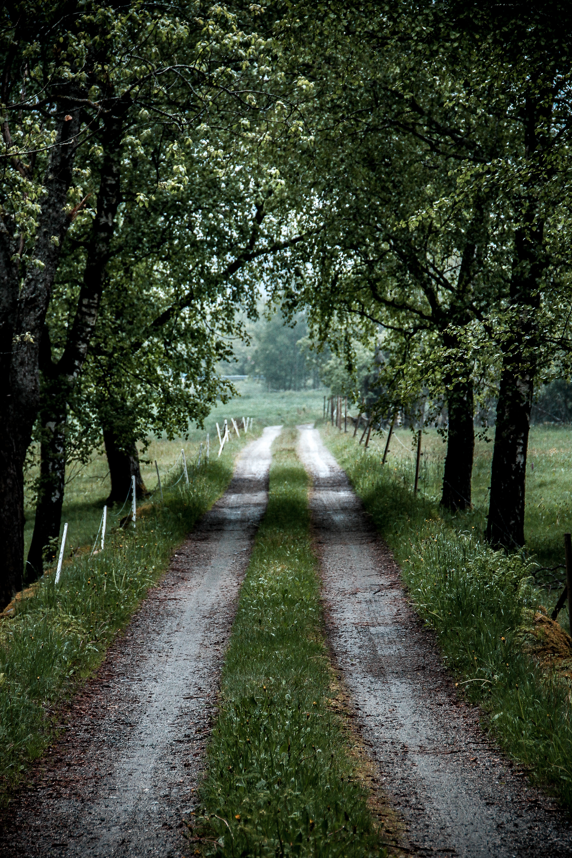 Alley Norway