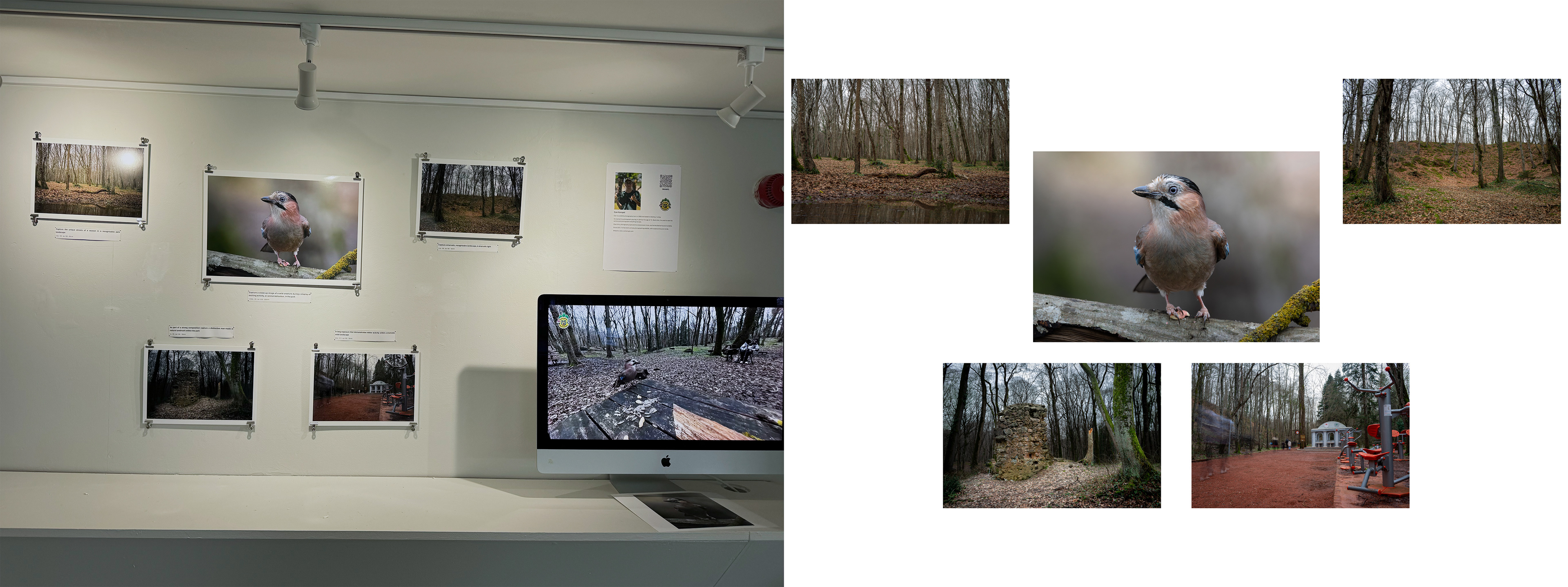Promote a Natıonal Park Exhıbıtıon/Unıversıty of Cumbrıa Course Project (Carlısle / Unıted Kıngdom)