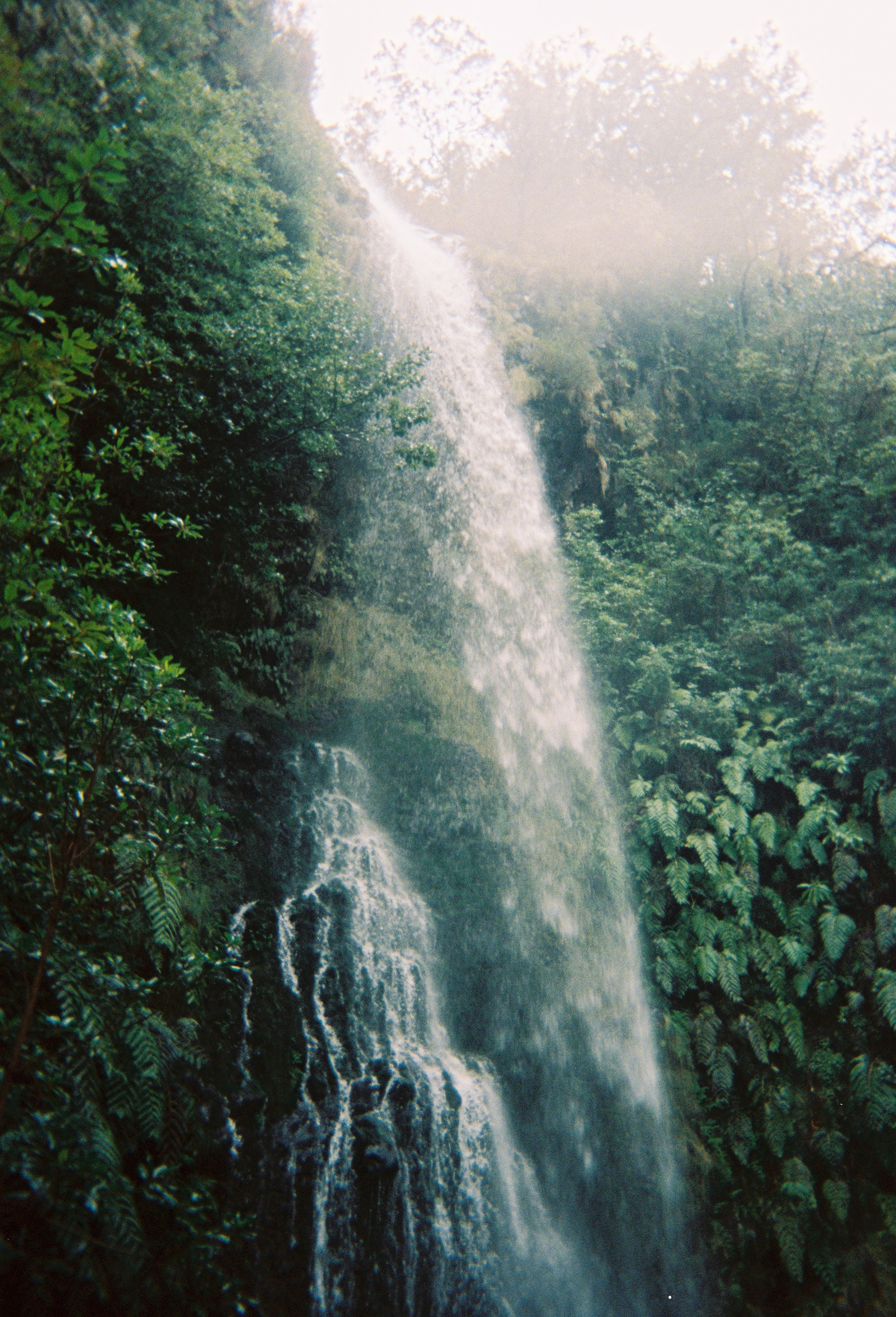 Madeıra Island / Portugal