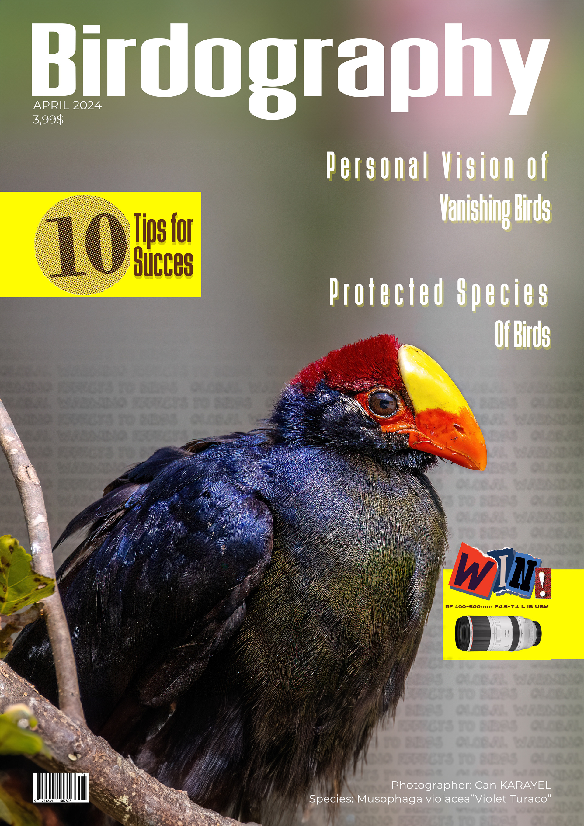 Bırd photography magazıne cover / Course project