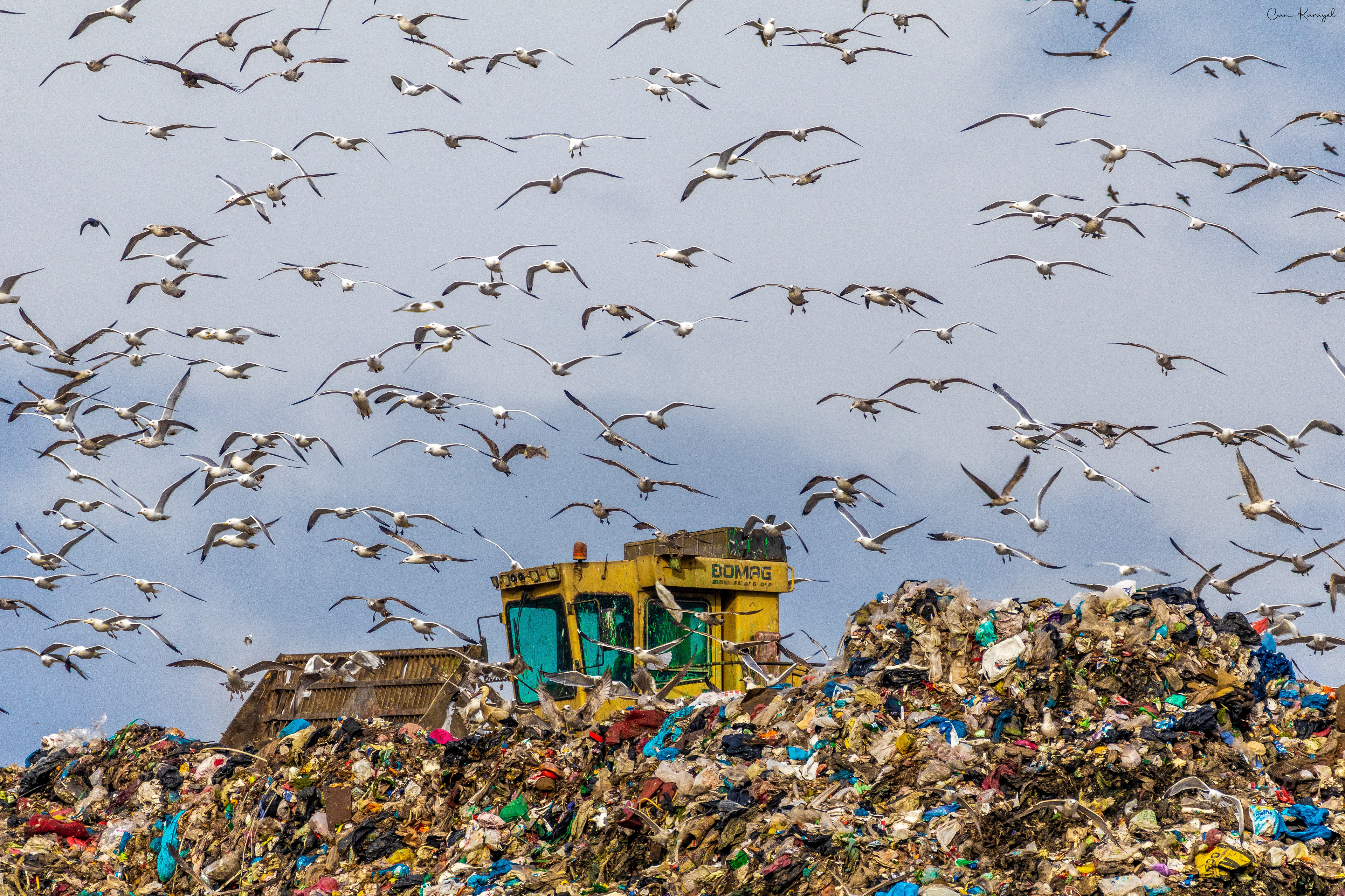 dump / Istanbul