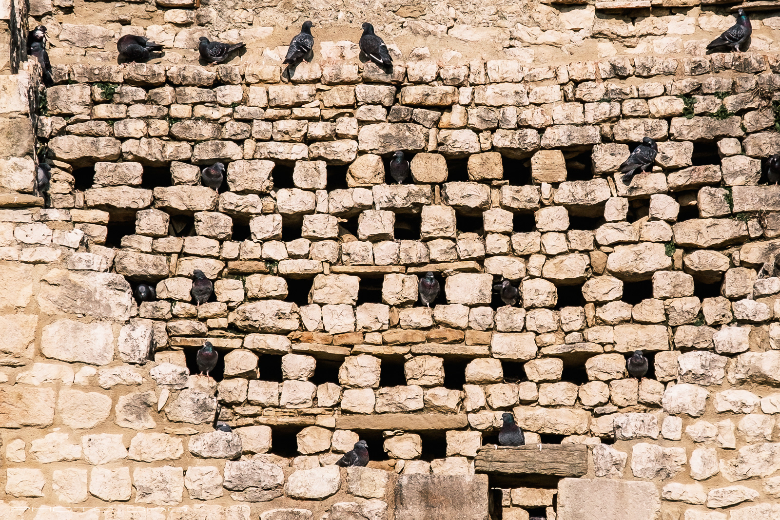 Pigeonnier -Dovecote