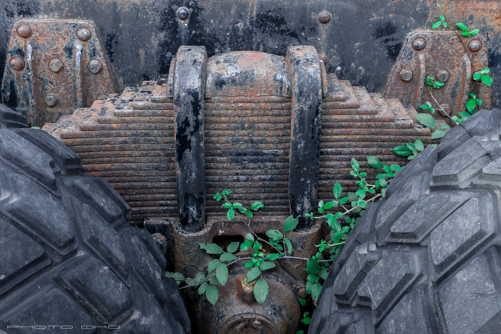 "Résilience": photo par Dirk Offringa, photographe, Nîmes France