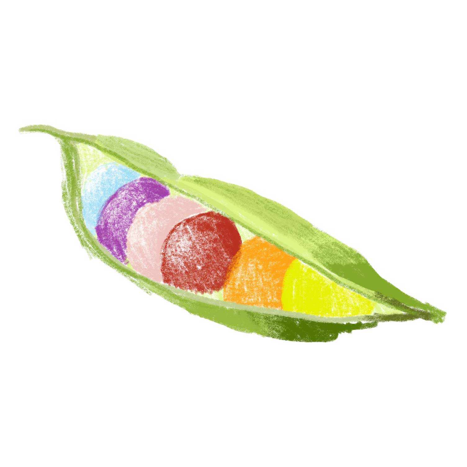 jellybeans + pea