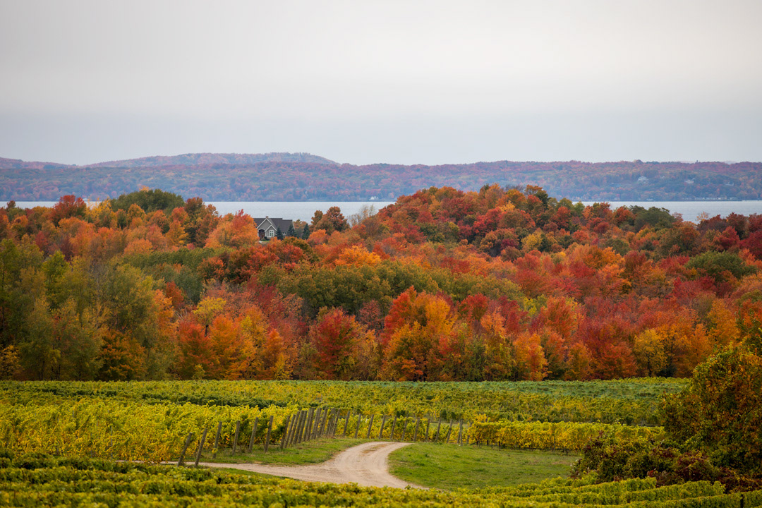 Chateau Grand Traverse