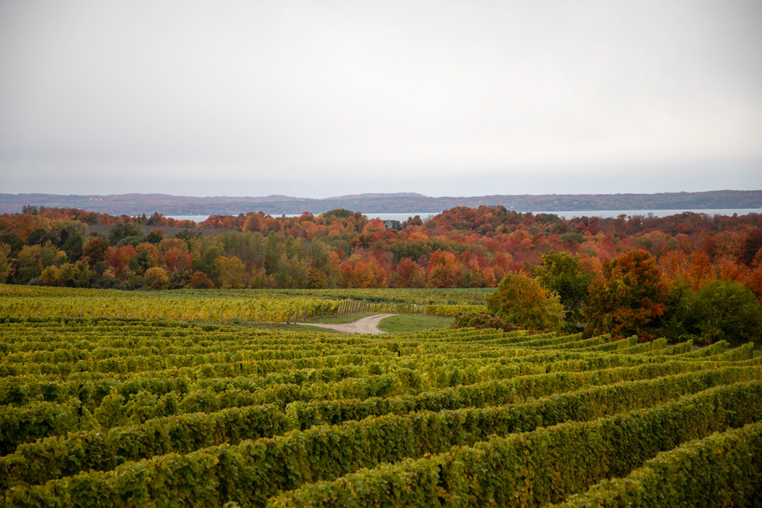 Chateau Grand Traverse