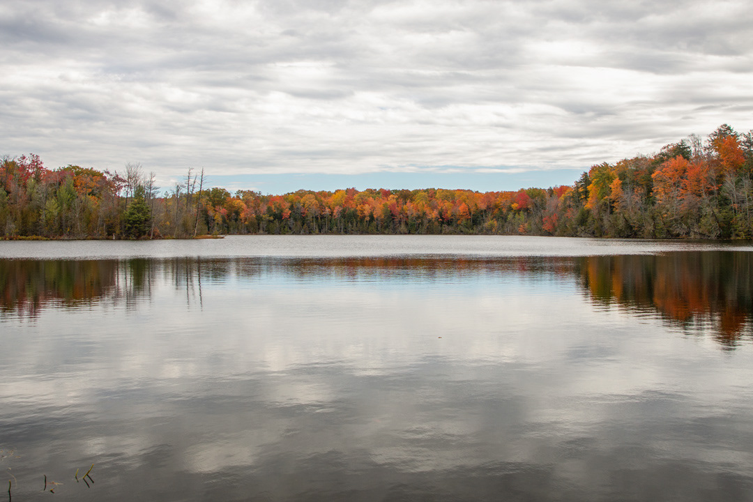 Fern Lake at The Timbers