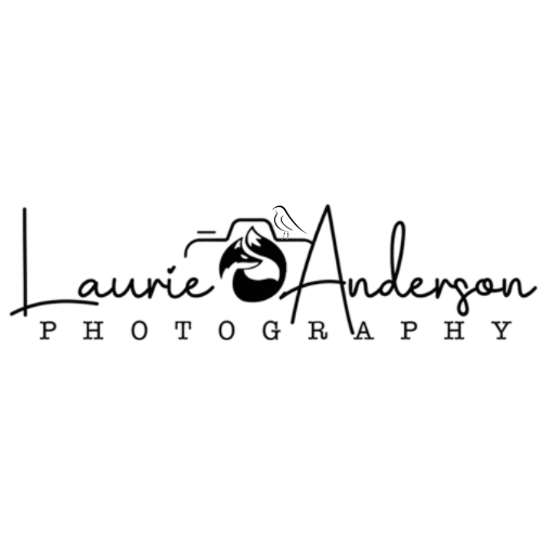 Laurie Anderson