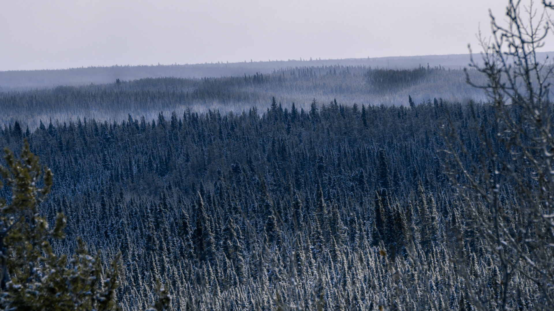 Misty Hills