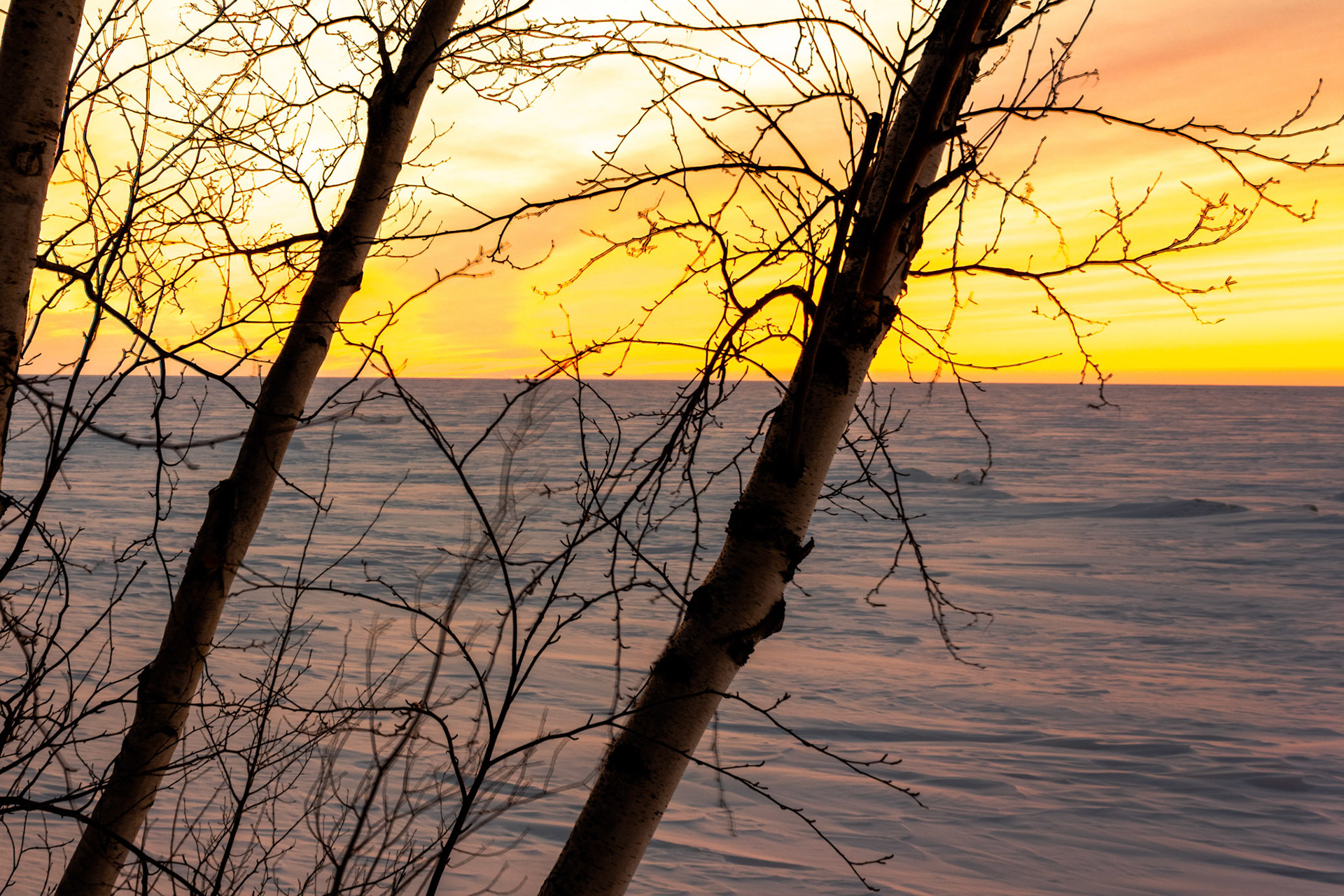 Fire Over Ice
