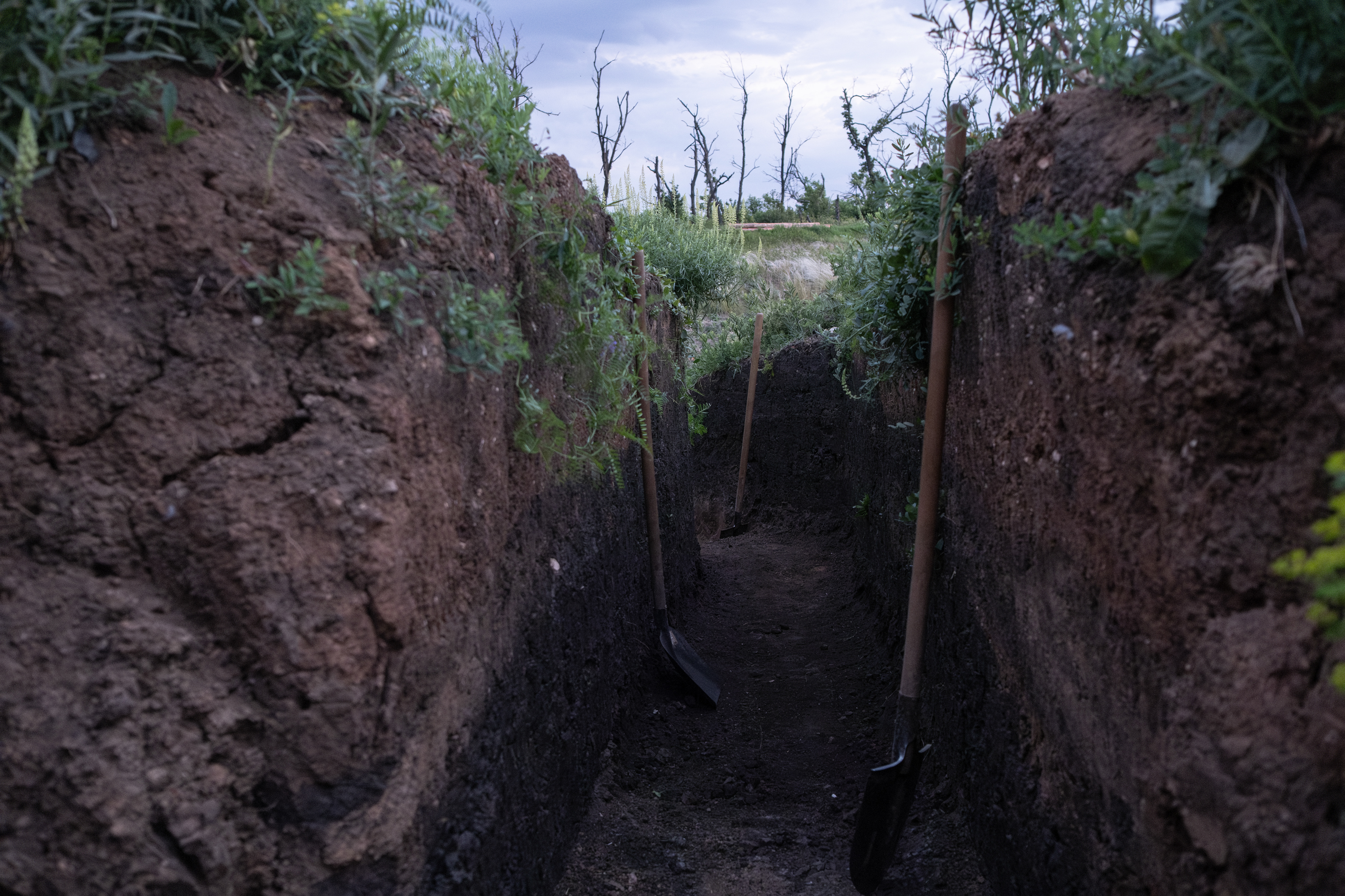 In the newly dug trenches