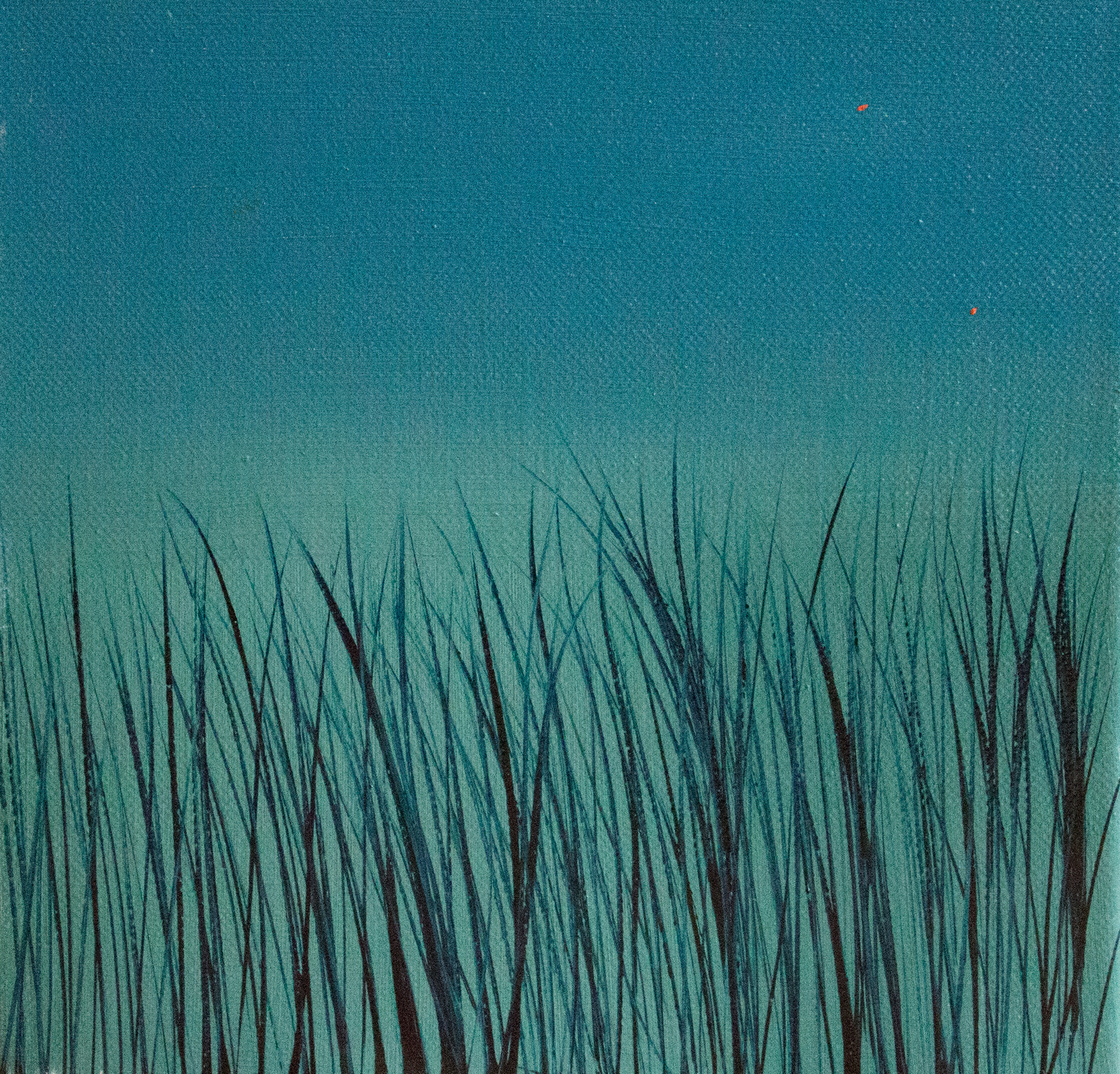 # 19 - Grasses Series 2011 (oil 8" x 8")