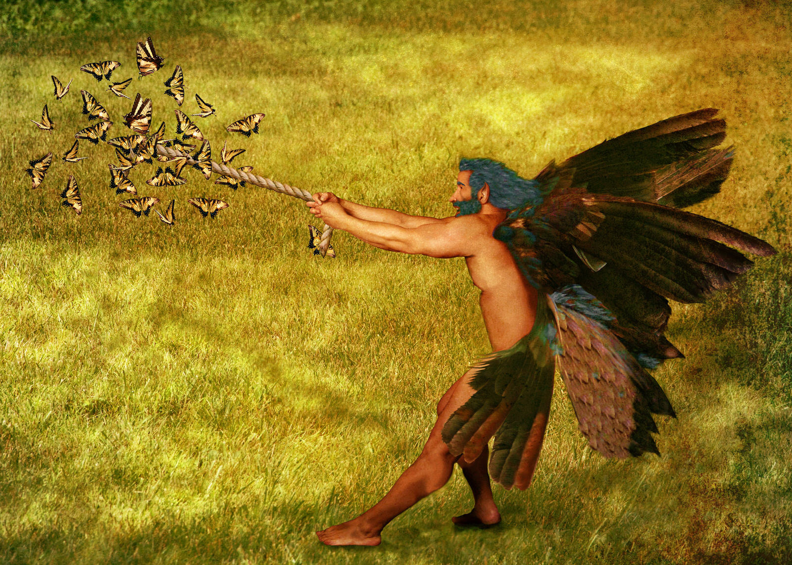 Butterfly Battle