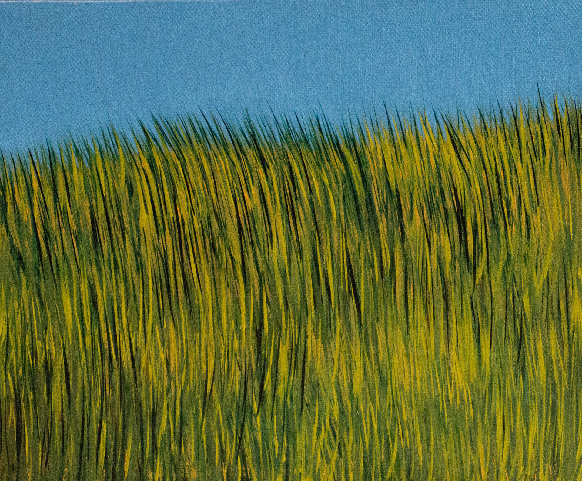 # 18 - Grasses Series 2011 (oil 8" x 10")