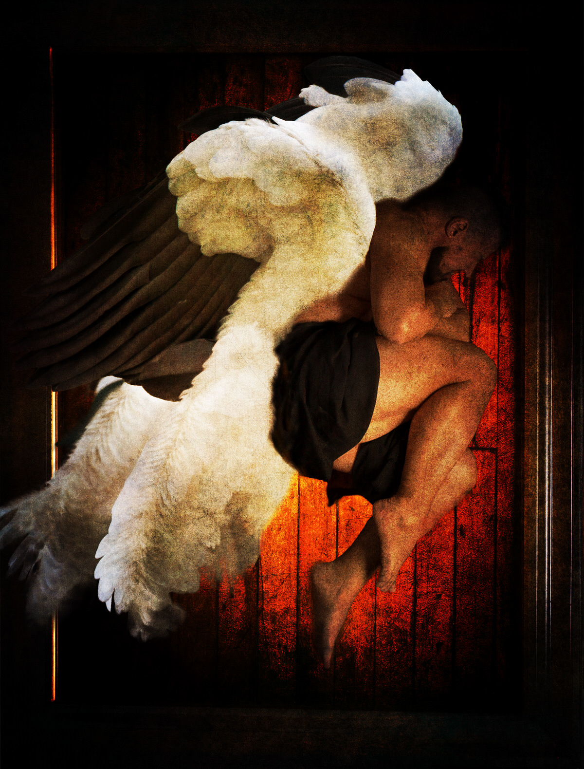 Fallen Angel