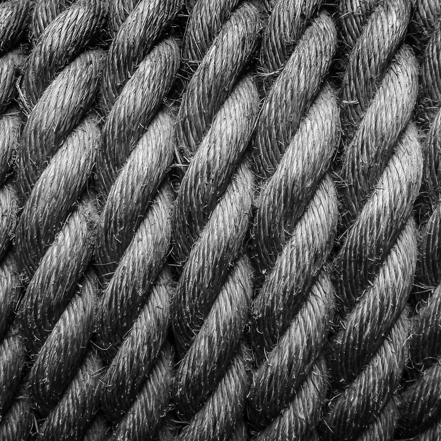 Sailing Ropes