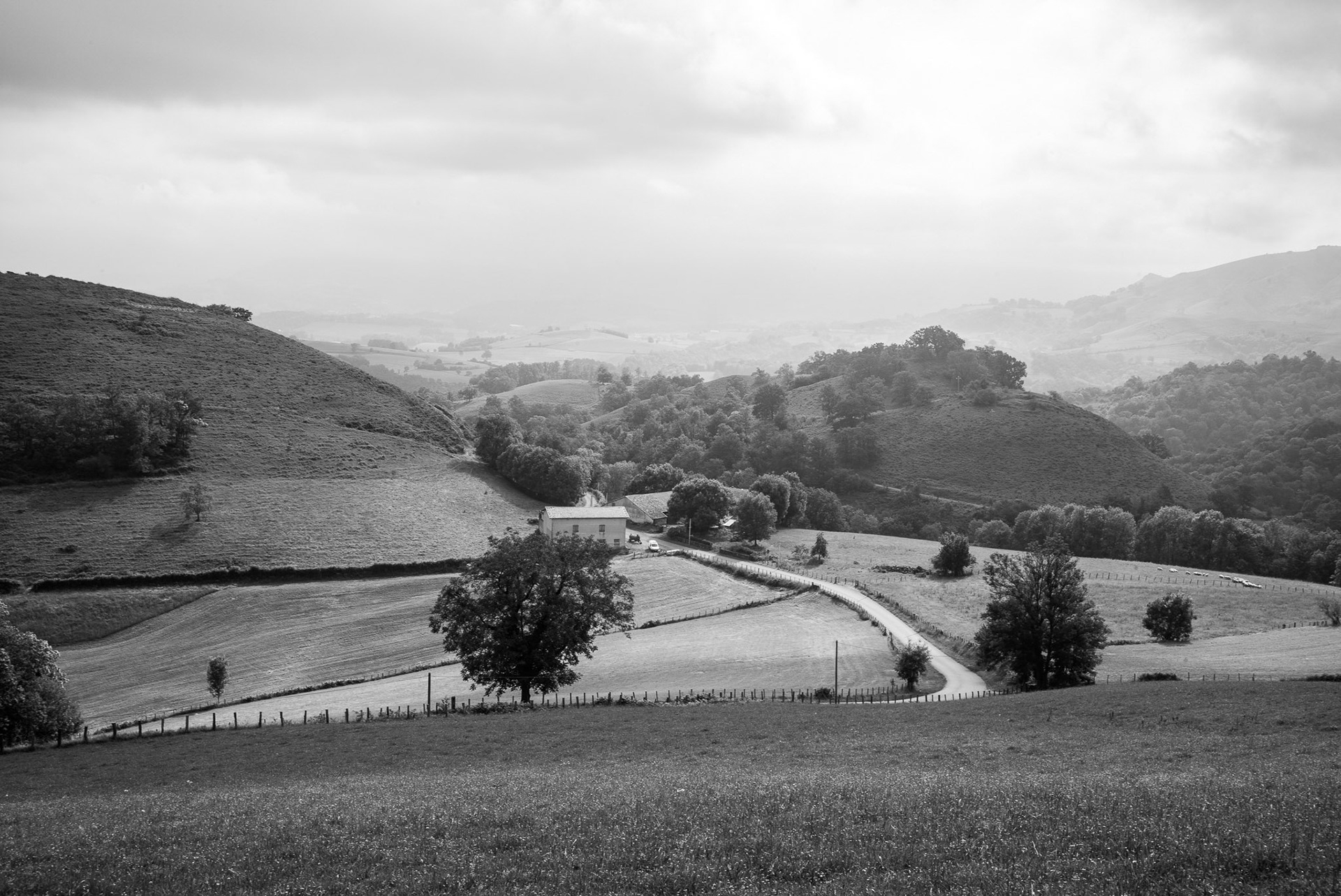 France, French Camino: St. Jean Pied-du-Port to Orrisson