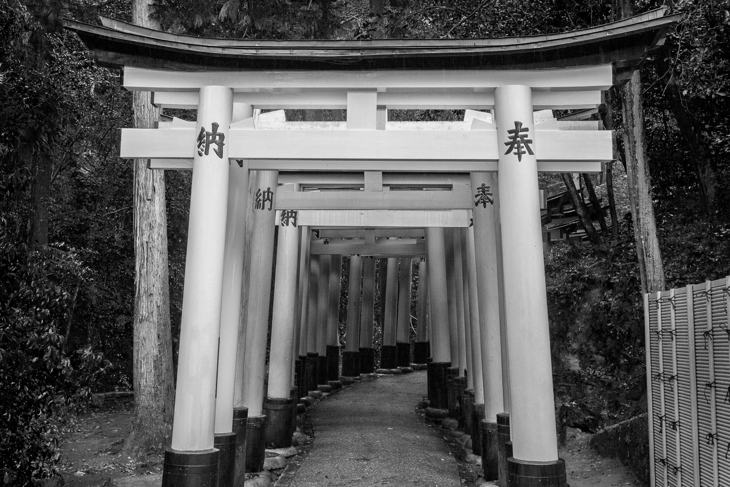 Japan, Kyoto: Fushimmi Inari Shrine