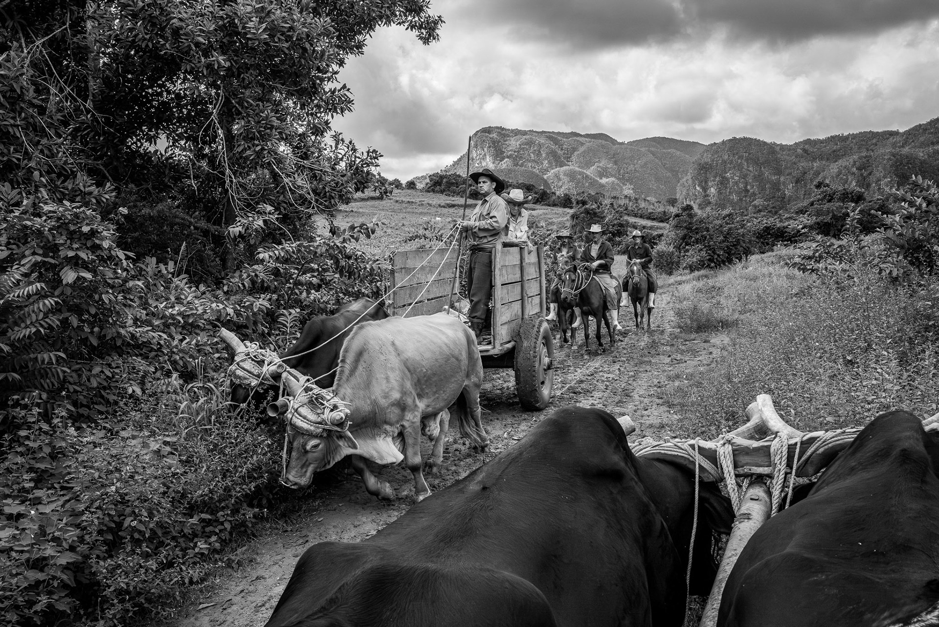 Cuba, Vinales Valley Farm