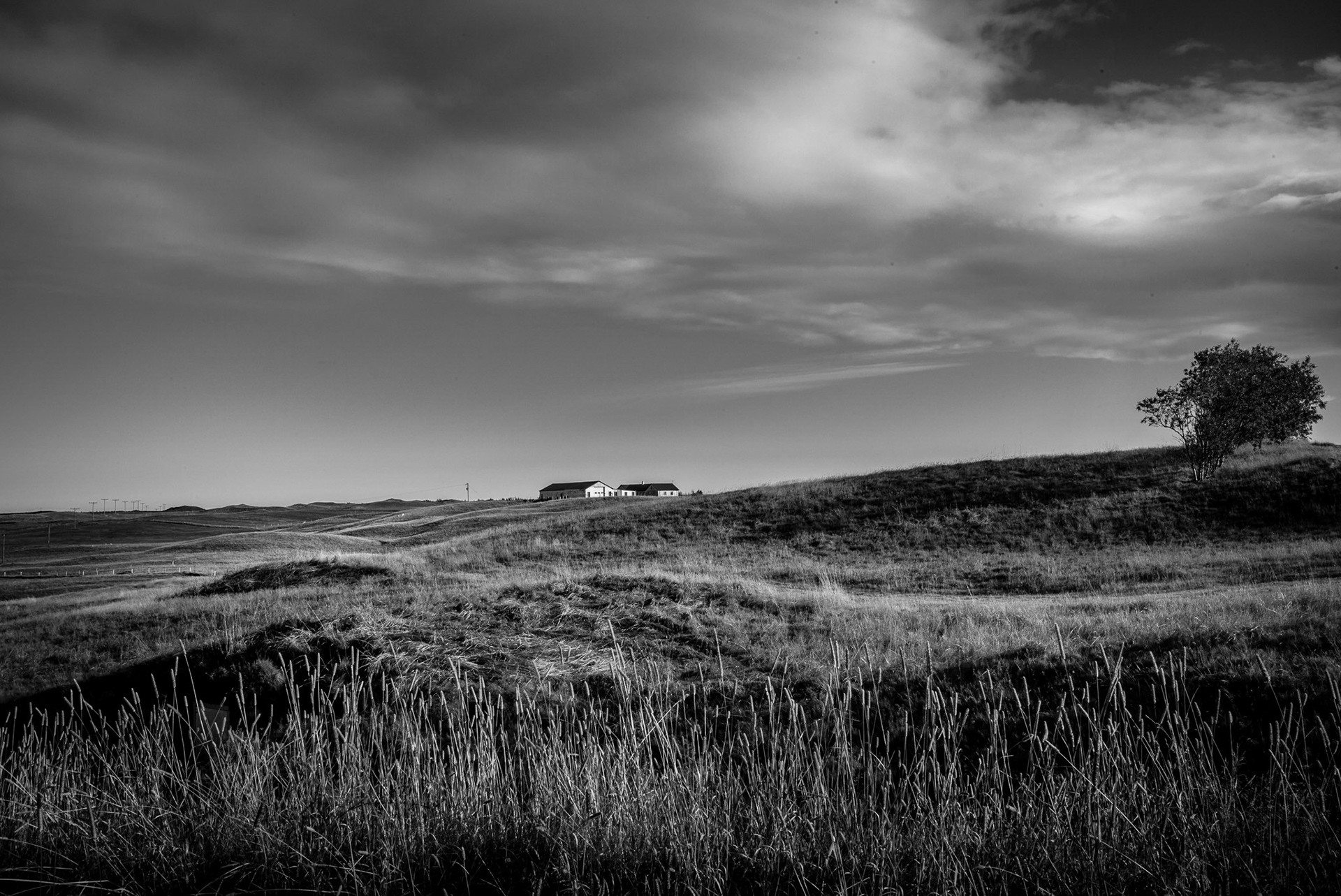 Iceland, Farm house in Efri Vik