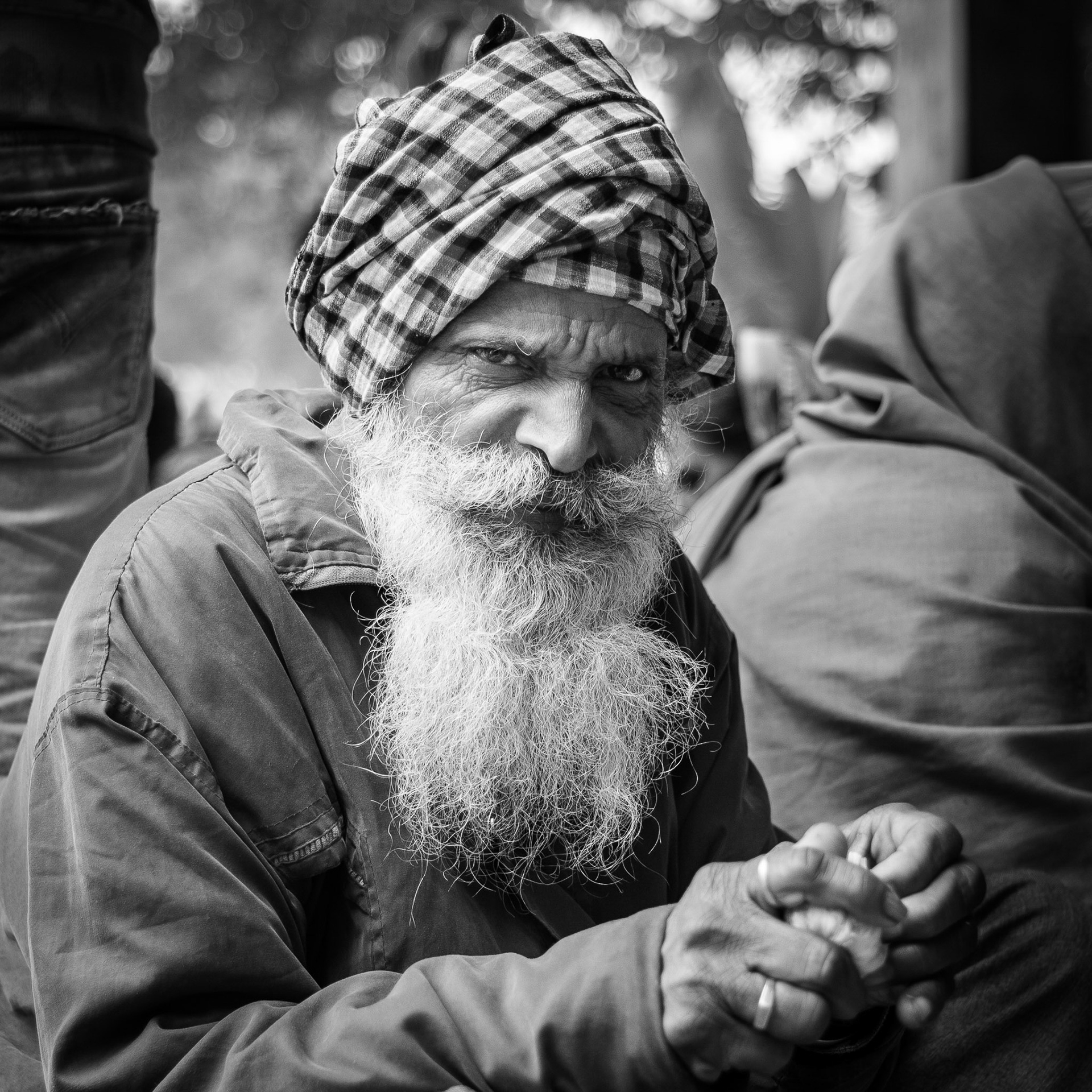 India / Amritsar :  Golden Temple