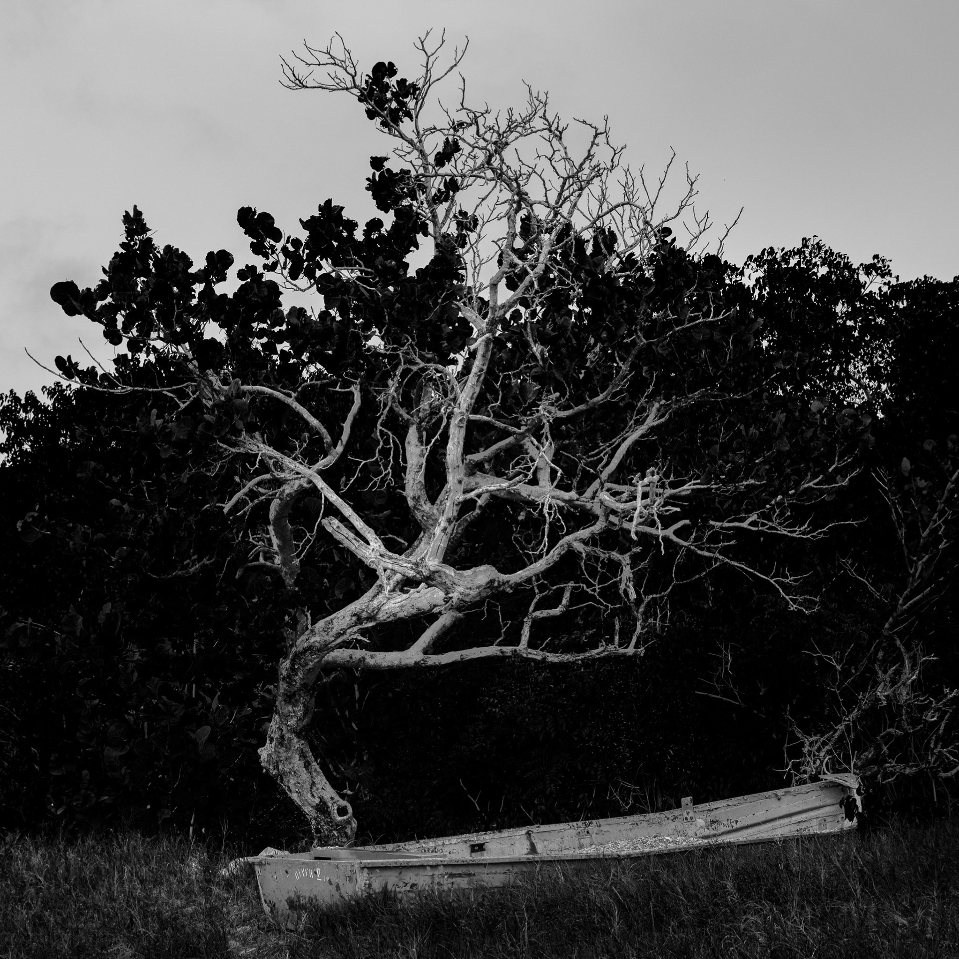 San Vincent and the Grenadines: Grenadines