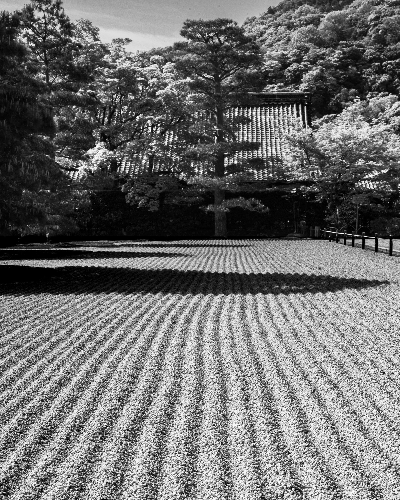 Japan, Kyoto/Arashiyama: Tenryu-ji Temple