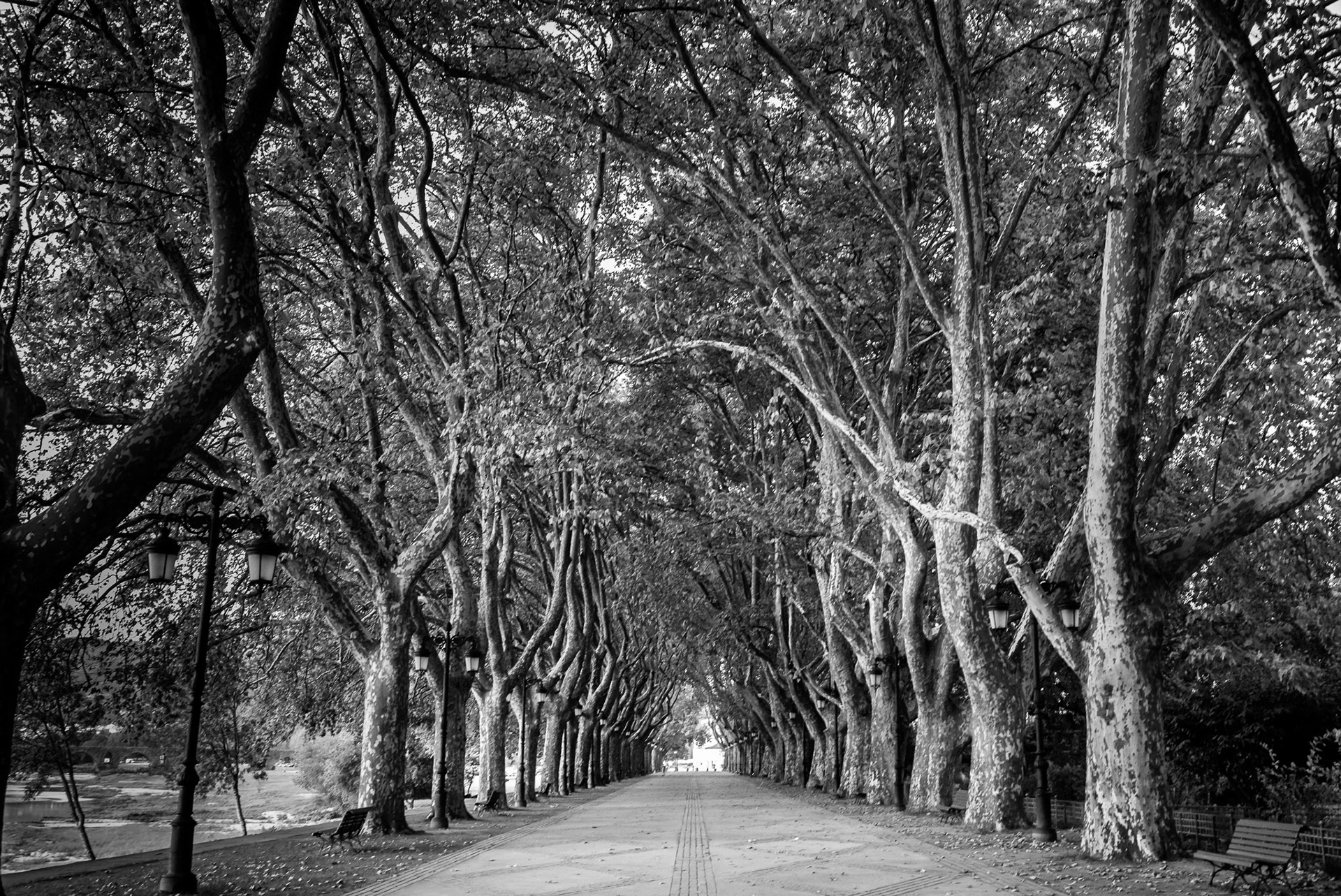 Portugual, Ponte de Lima: Riverfront promenade