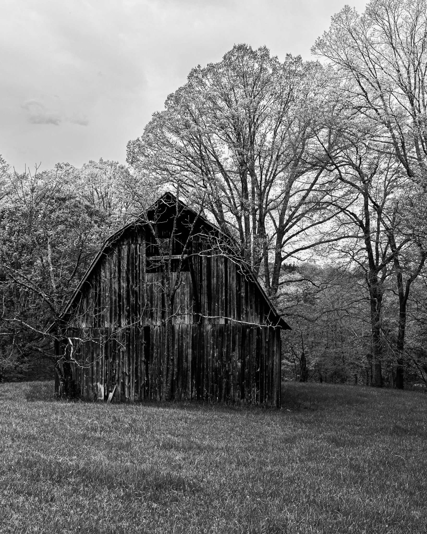 USA,  Moneta: Old barn