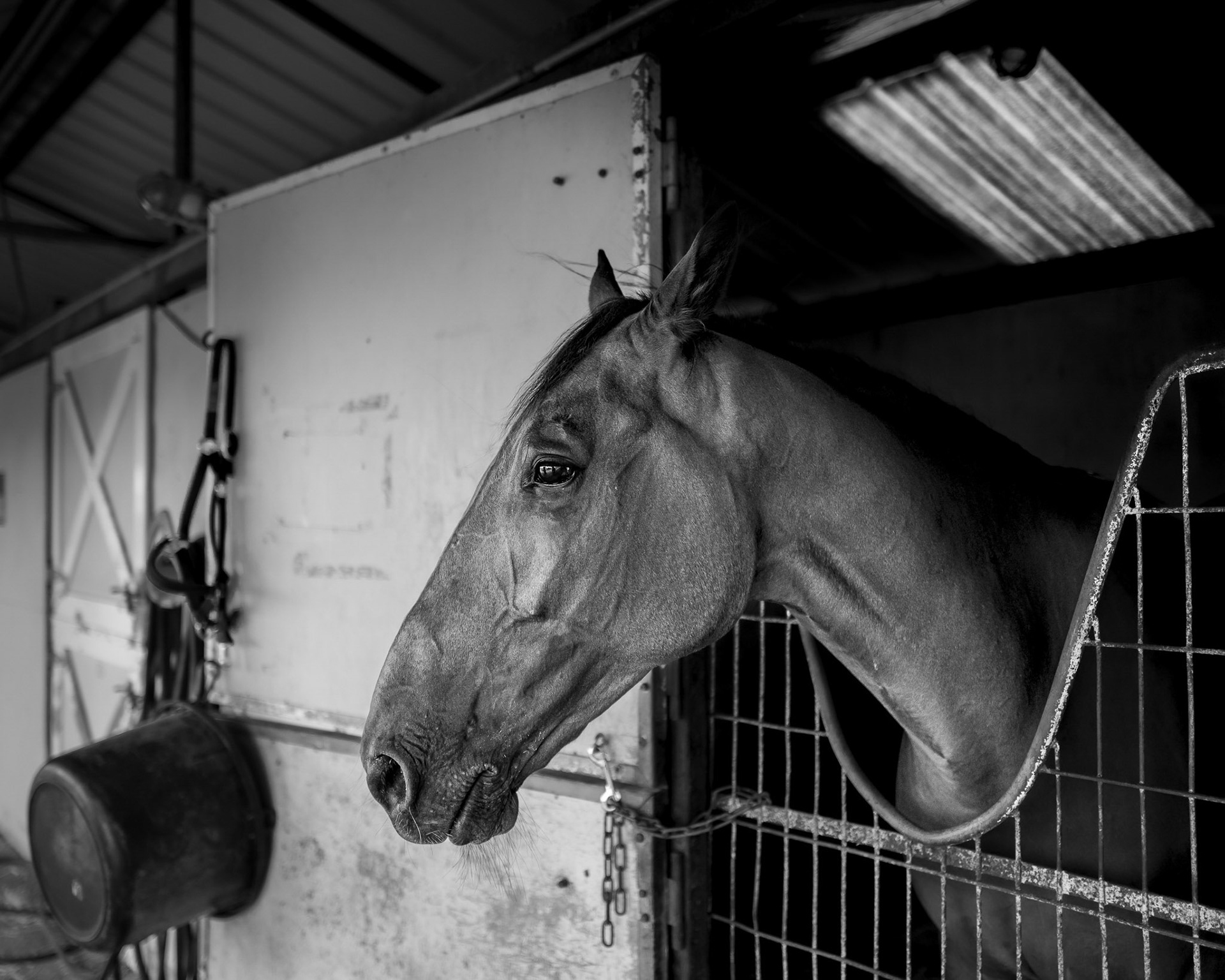USA,  Frederick: Agricultural Fair