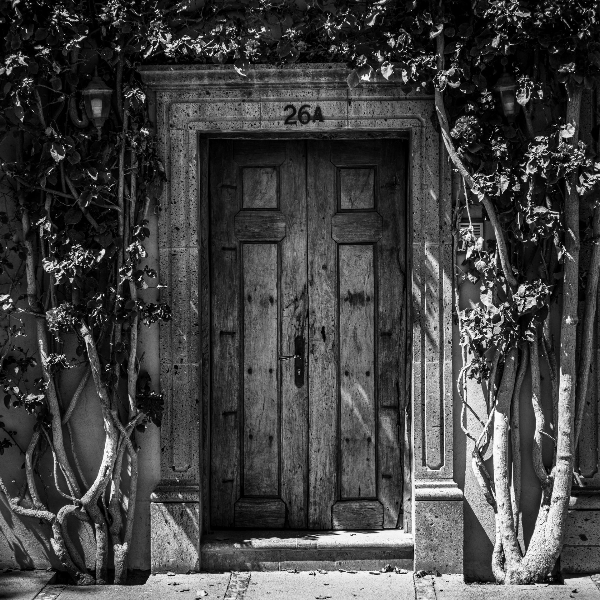 Mexico, San Miguel de Allende