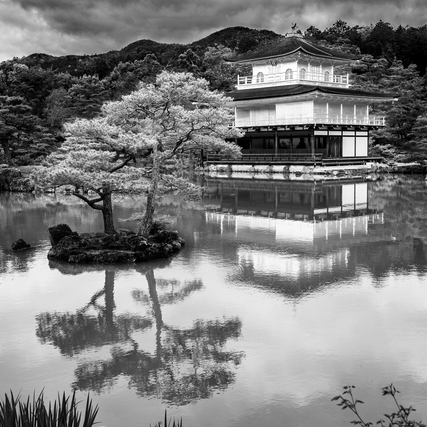 Japan, Kyoto: Kinkaku-ji Temple: - Golden Pavillion