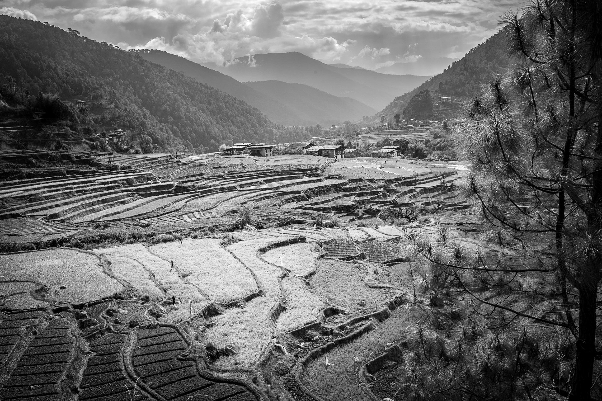 Bhutan, Punakha valley