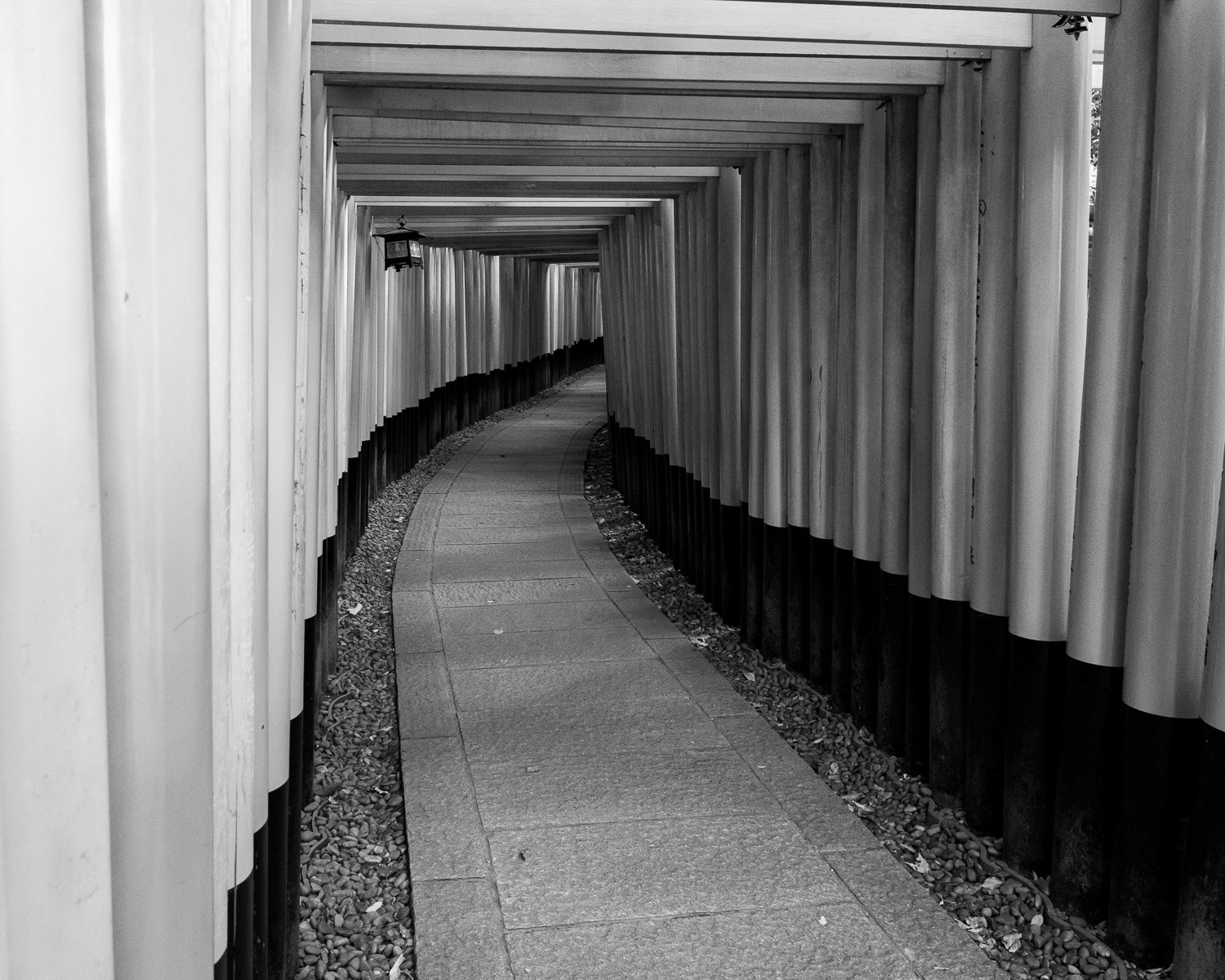 Japan, Kyoto: Fushimmi Inari Shrine