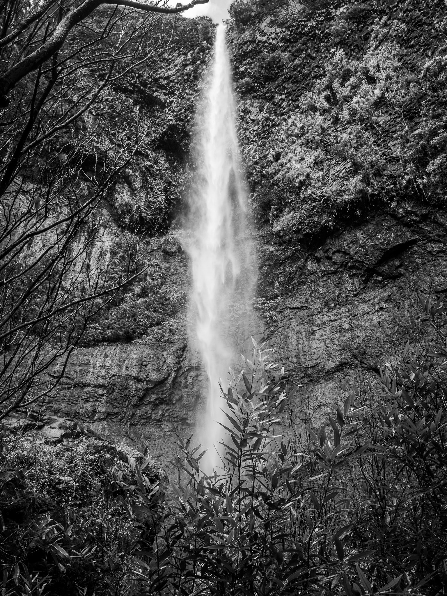 French Polynesia, Tahiti: Waterfall