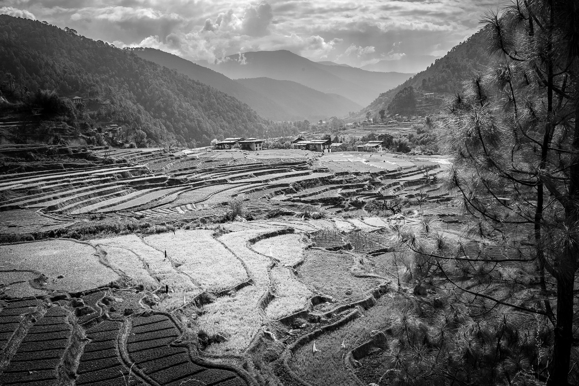 Bhutan, Punakha valley