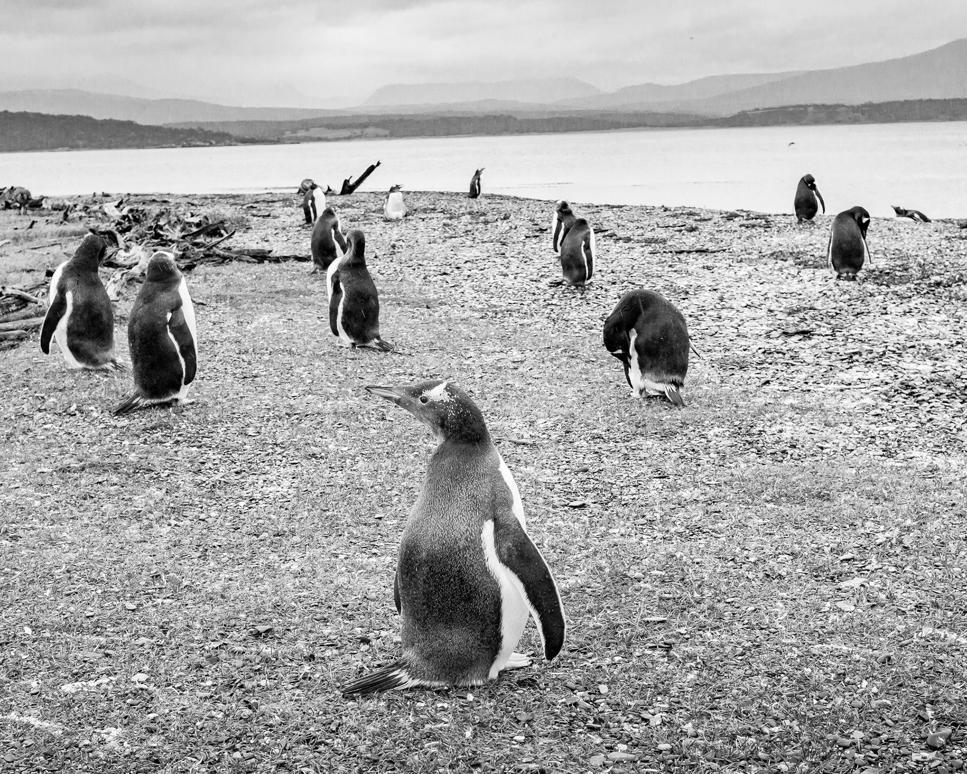 Argentina - Ushuaia