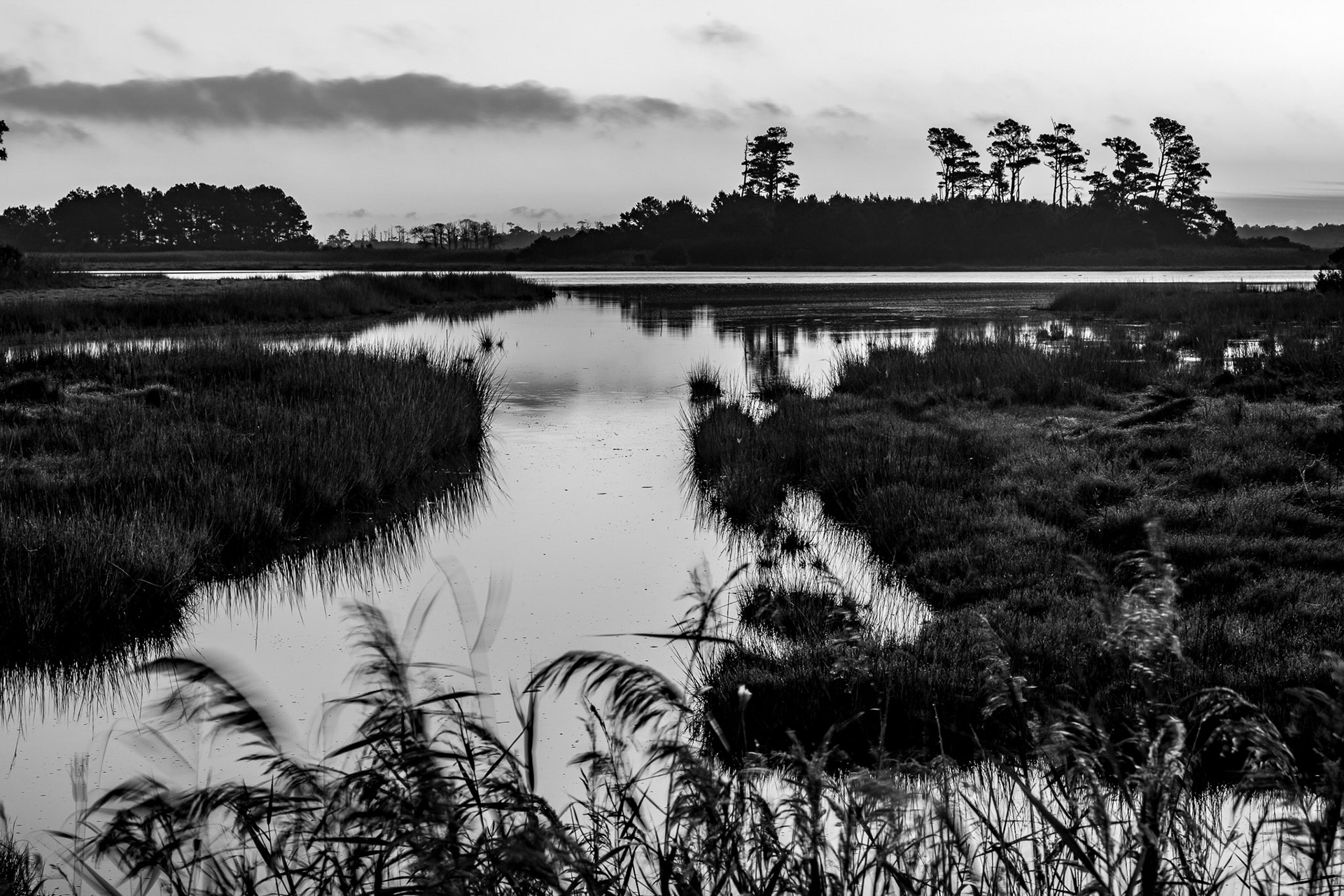 USA, Chincoteague,