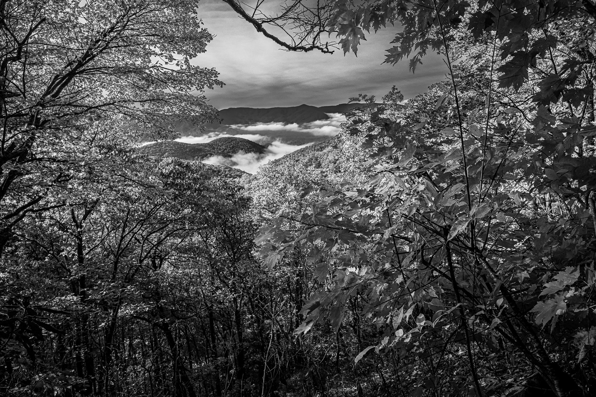 USA, North Carolina, Great Smoly Mountain National Parl