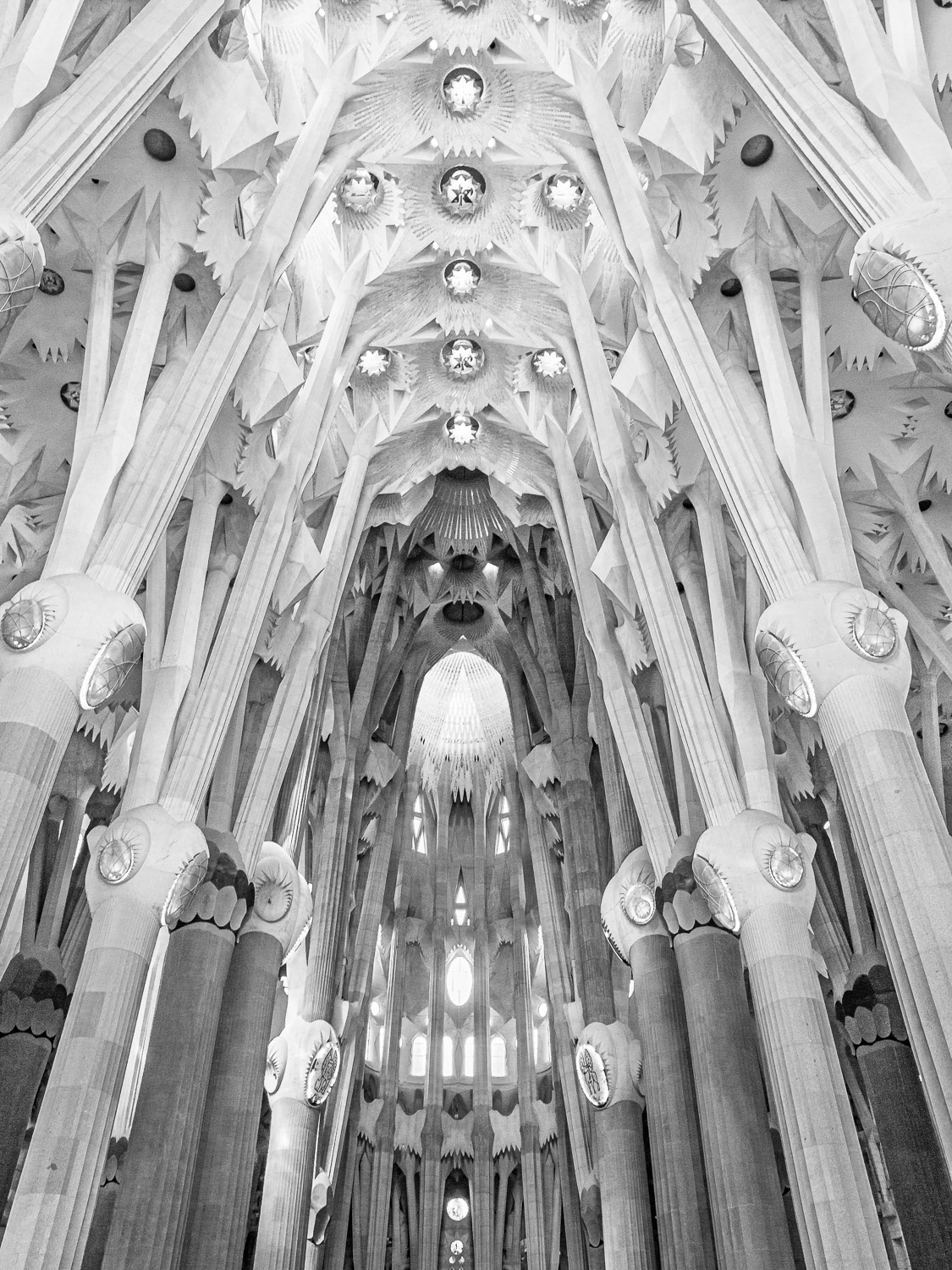 Spain, Barcelona: Basilica Sagrada Familia