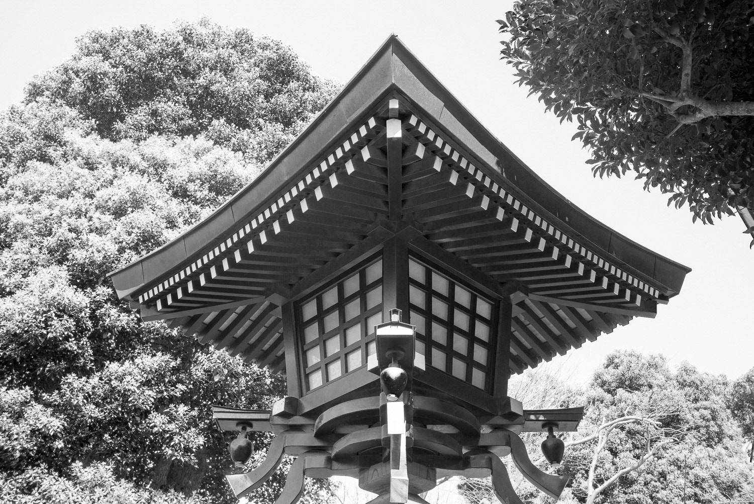 USA, Tokyo: Shrine Lantern