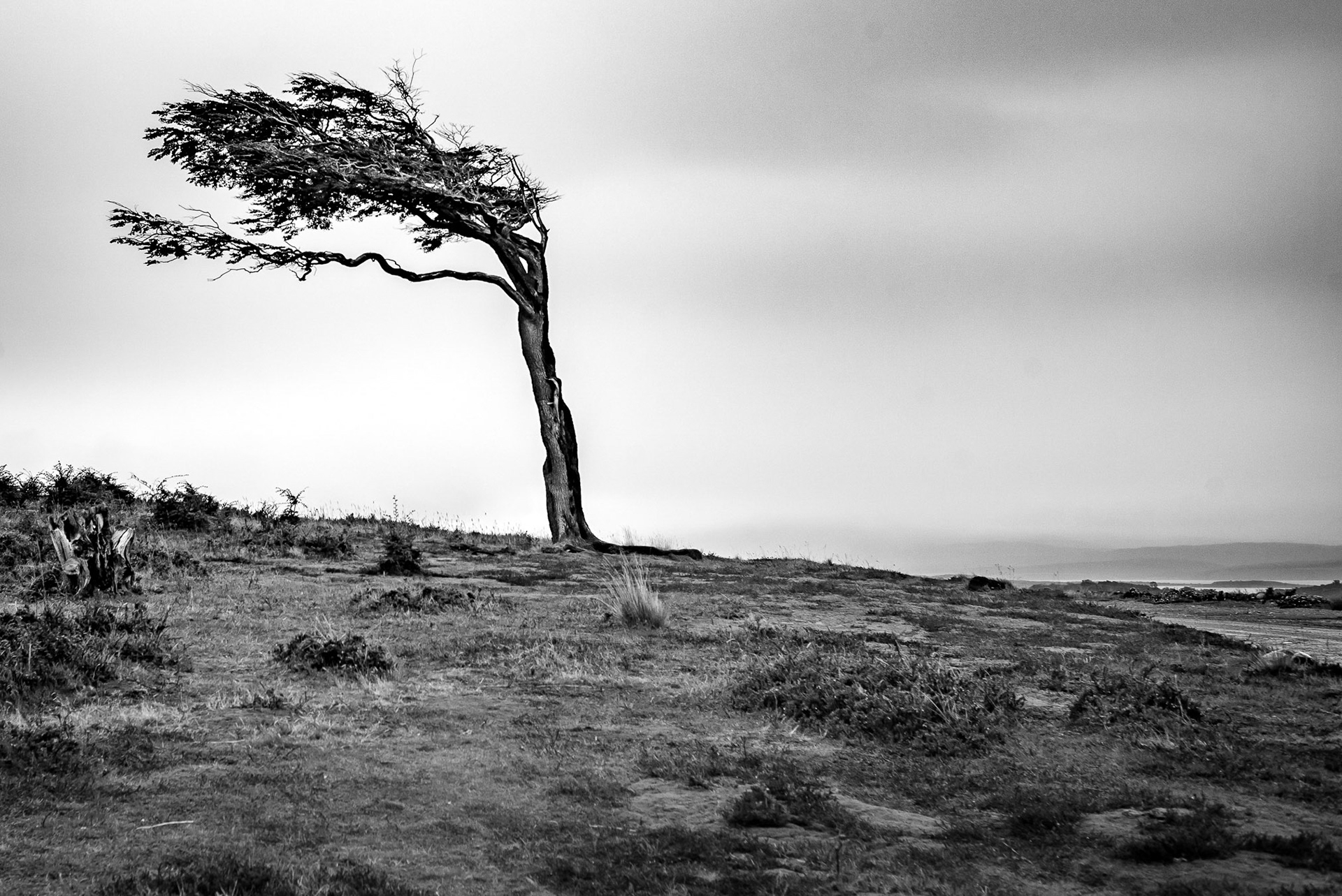 Argentina - Ushuaia: It's windy down there